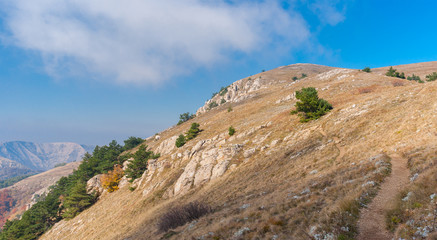 Fototapeta na wymiar Panoramic landscape with hiking path on a mountain pasture Demerdzhi, Crimean peninsula