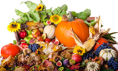 Erntedankfest, Goldener Herbst: Stillleben mit Früchten (Äpfel, Trauben, Kürbisse, Feigen,...