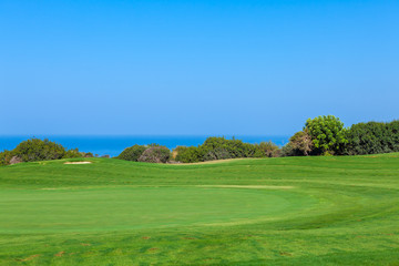 Fresh Green of Golf Field
