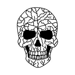 color skull