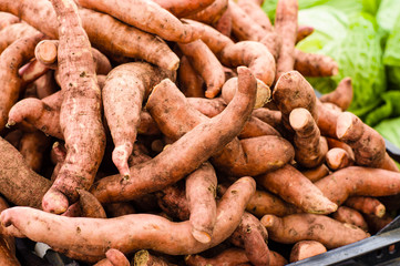 Fresh local sweet potatoes at the market