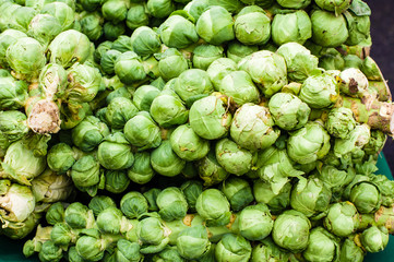 Green brussel sprouts at the market