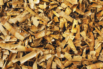 sawdust close-up