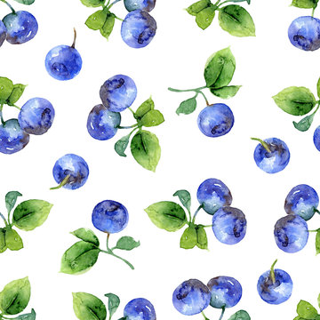 Seamless pattern with bilberry