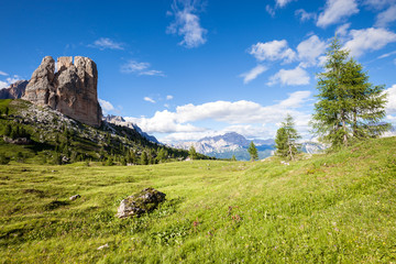 Summer mountain panorama