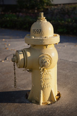 Fire hydrant 