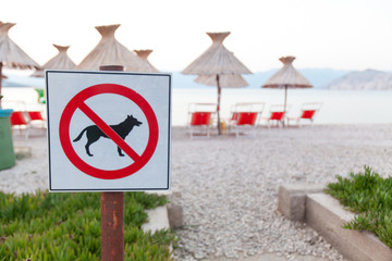 Signs announcing the ban on dogs on the beach.