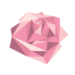 Geometric volume pink rose on white background. Card or poster