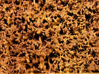 Braune mit Salz verkrustete Schwarzdornbündel in einem alten Gradierwerk am Kurpark im Heilort Bad...