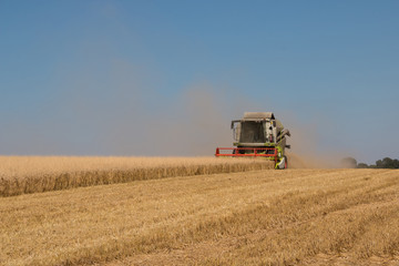 Obraz premium Combine harvestesting