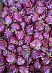  Red Onions