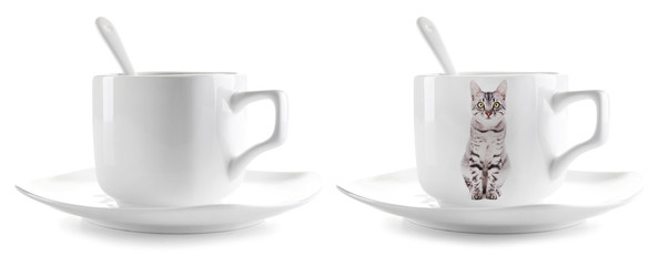 Coffee cup with photo of cute cat isolated on white