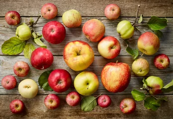Fotobehang various kinds of apples © Mara Zemgaliete