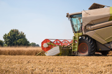 Obraz premium Combine harvestesting