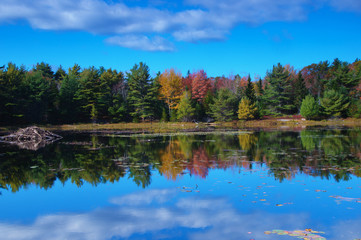 Obraz premium Eagle Lake, Acadia National Park