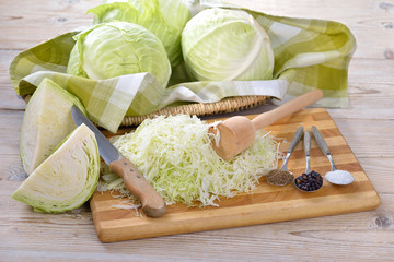 Weißkraut in Vorbereitung für die Herstellung von Sauerkraut  - German white cabbage in preparation for making sauerkraut