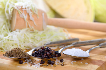 Weißkraut in Vorbereitung für die Herstellung von Sauerkraut  - German white cabbage in preparation for making sauerkraut