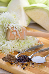Weißkraut in Vorbereitung für die Herstellung von Sauerkraut  - German white cabbage in preparation for making sauerkraut