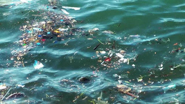 Sea Pollution Garbage