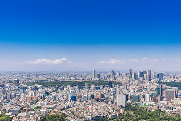 Fototapeta premium 東京 青空と都市風景