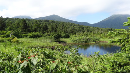 青森県　睡蓮沼　Aomori-ken  Water lily marsh / 水芭蕉や睡蓮の一種のエゾヒツジグサが自生していることから睡蓮沼との名前がついている。高山植物の宝庫で、10月には紅葉が見頃を迎える。鏡のように澄み切った沼の水面には色づいた木々や八甲田の山々が映り、絶景を楽しむことができる。