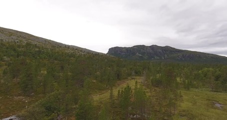 Slow low level flight over a coniferous forest and bog in Scandinavia