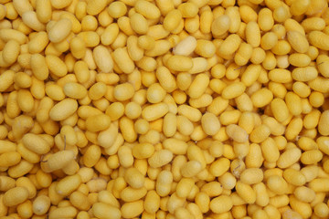 The yellow cocoon.