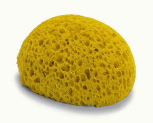 Sponge