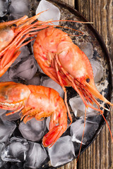 shrimp with ice on a dark background