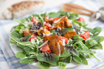 Salat mit Eierschwammerl, Pfifferlinge 