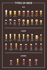 A visual guide to the types of beer. Various types of beer in recommended glasses. Vector illustration