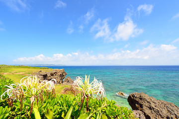 沖縄の美しい海と空