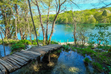 Fototapeta premium Plitvice Lake, Croatia with forest and waterfalls