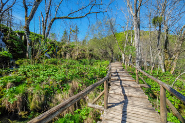 Plitvice Lake, Croatia with forest and waterfalls