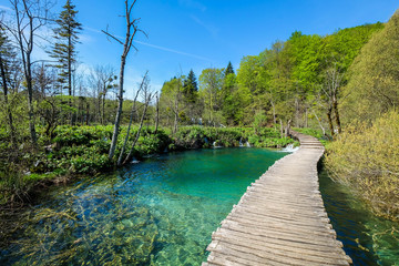 Plitvice Lake, Croatia with forest and waterfalls