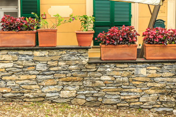 Flower decoration of the house