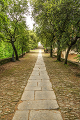 Alley to Sanctuary of Nostra Signora di Montallegro