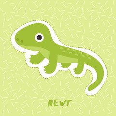 Newt : Cute Animal Set :  Vector Illustration