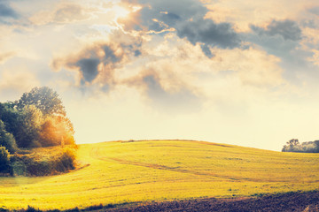 Country Landscape with  hills , field , trees and beautiful sky with clouds and sunlight