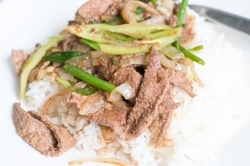 Fried Stir Pork Liver with Sweet Pepper , Thai food
