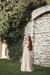 Beautiful girl, model with long hair posing in park near great wall. Krakow Vavel