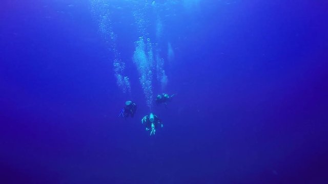 Underwater shot of group scuba divers swimming in a blue clear water.