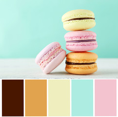 French macarons on white wooden background with color palette