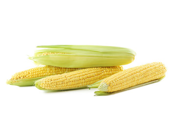Sweet corns isolated on a white