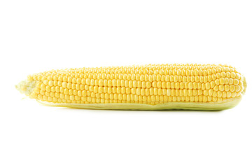 Sweet corn isolated on a white