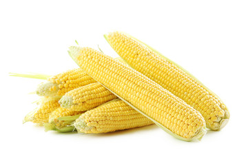 Sweet corns isolated on a white