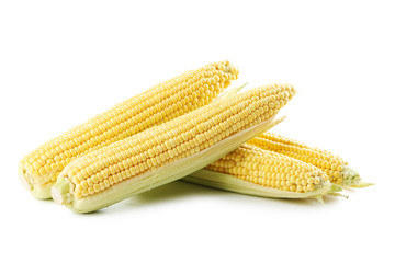 Sweet corns isolated on a white