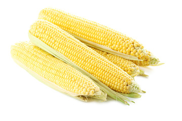 Sweet corns isolated on a white