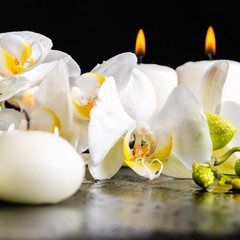 beautiful spa decoration of blooming white orchid flower, phalaenopsis with dew and candles on black background, close up