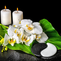 Naklejki  koncepcja spa kwiat orchidei, phalaenopsis, liść z rosą, candl